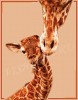Жирафик с мамой