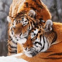 Друг сердечный