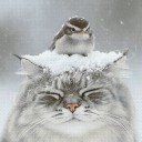 Январский дзен